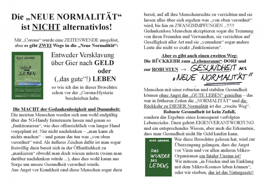 CORONA-HYSTERIE begreifen